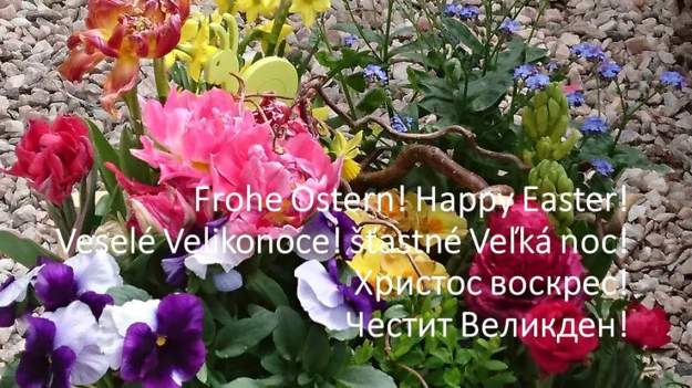 FB_IMG_1492326850605